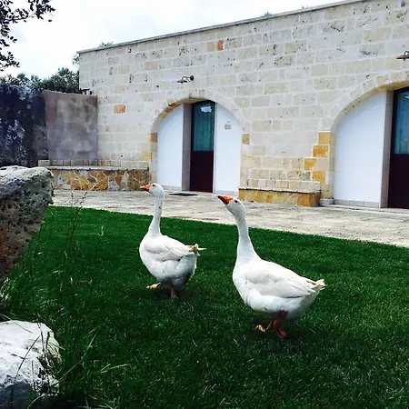 Farm stay Masseria Pappo
