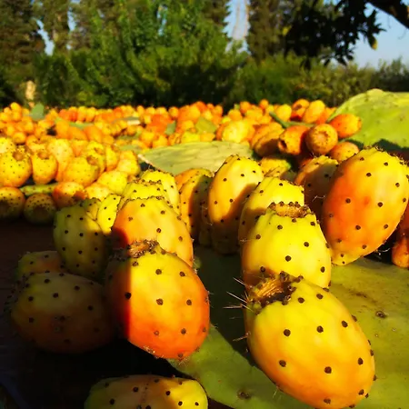 Farm stay Masseria Pappo *