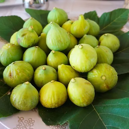 Masseria Pappo *