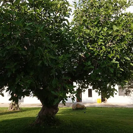 Masseria Pappo Séjour à la ferme