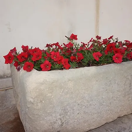 Masseria Pappo Farm stay *