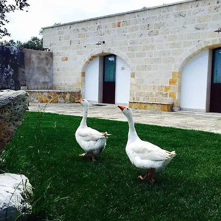 Séjour à la ferme Masseria Pappo