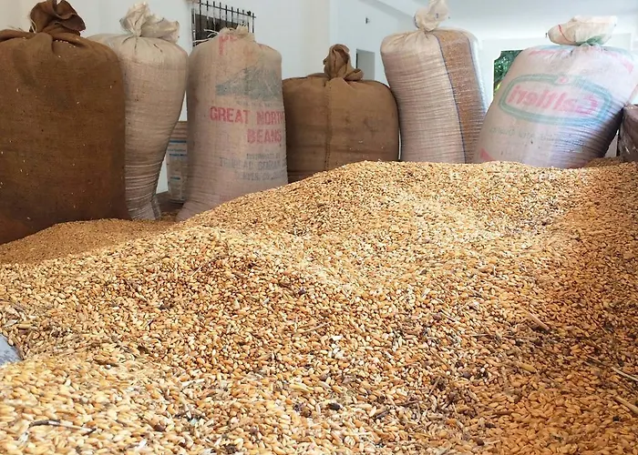 Masseria Pappo Copertino