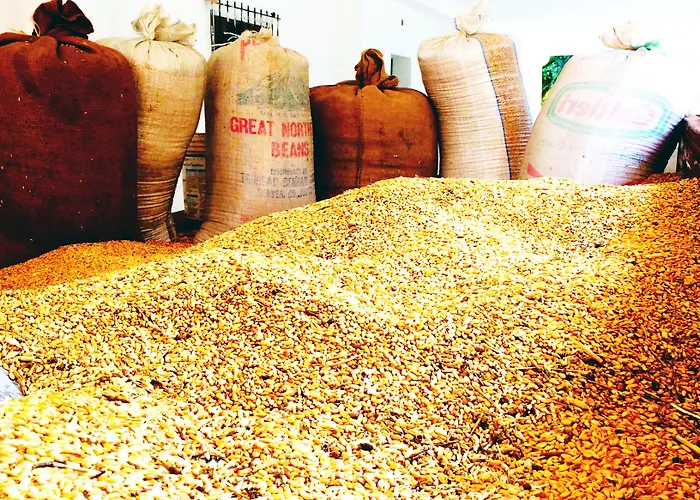 Κατάλυμα σε φάρμα Masseria Pappo *