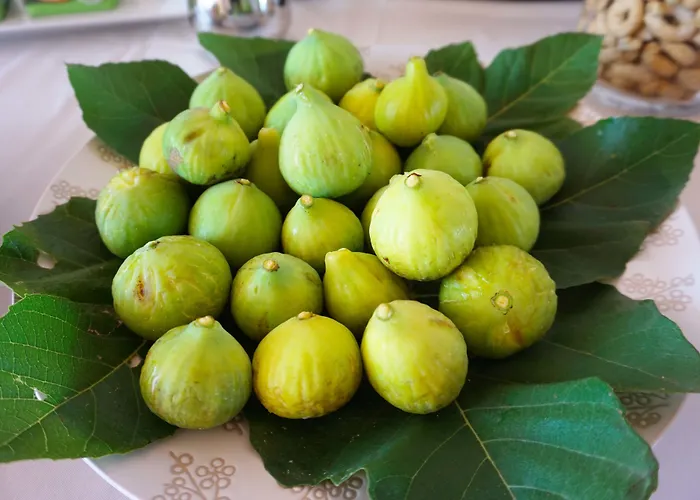 Κατάλυμα σε φάρμα Masseria Pappo *