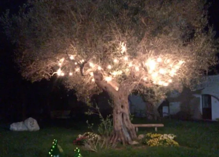 Masseria Pappo * Copertino