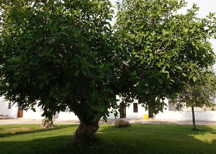Masseria Pappo Κατάλυμα σε φάρμα