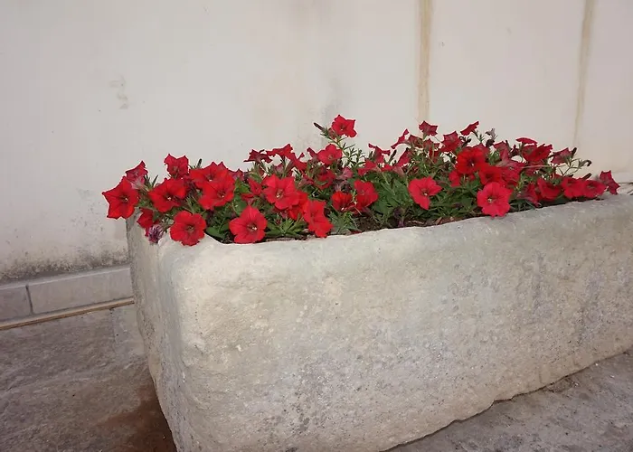 Masseria Pappo Κατάλυμα σε φάρμα *